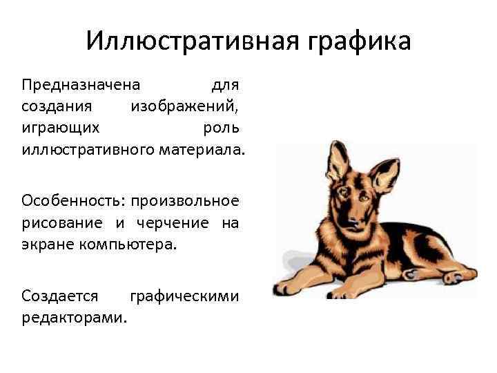 Иллюстративная графика Предназначена для создания изображений, играющих роль иллюстративного материала. Особенность: произвольное рисование и