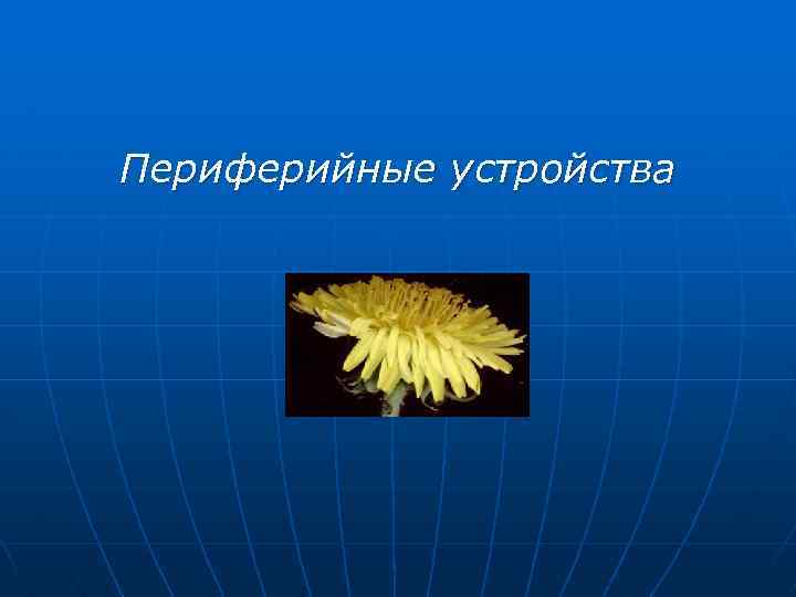 Периферийные устройства 