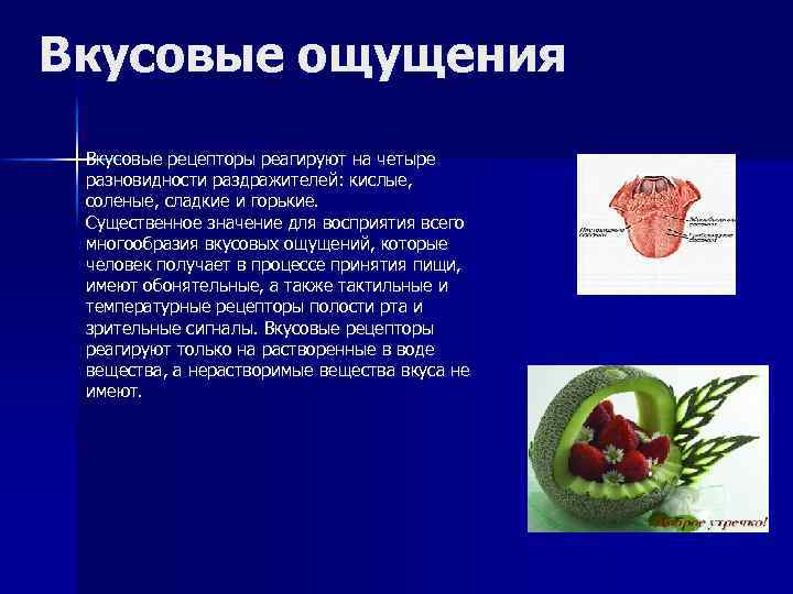 Вкусовые ощущения Вкусовые рецепторы реагируют на четыре разновидности раздражителей: кислые, соленые, сладкие и горькие.