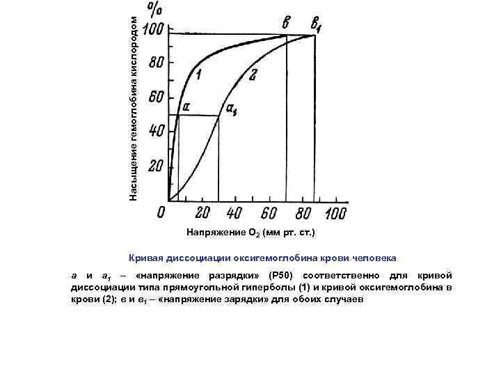 Насыщение гемоглобина кислородом Напряжение О 2 (мм рт. ст. ) Кривая диссоциации оксигемоглобина крови