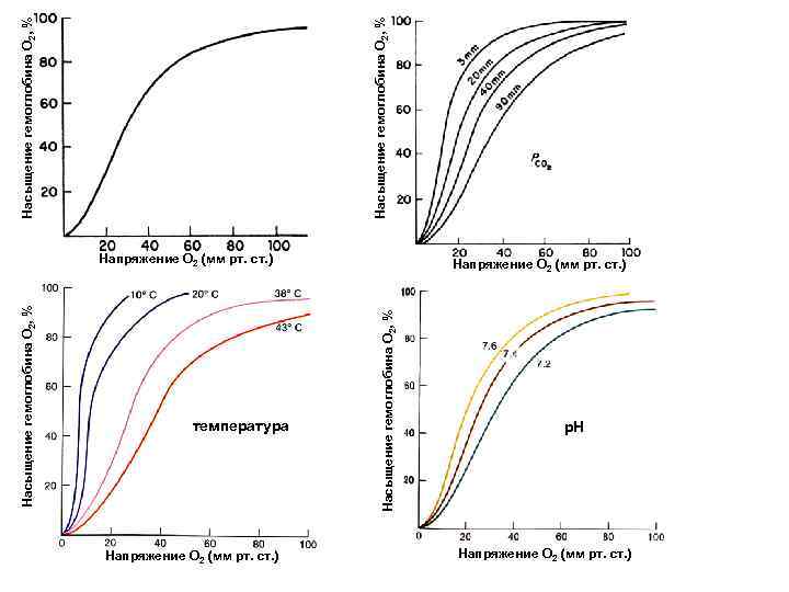 Насыщение гемоглобина О 2, % температура Напряжение О 2 (мм рт. ст. ) Насыщение