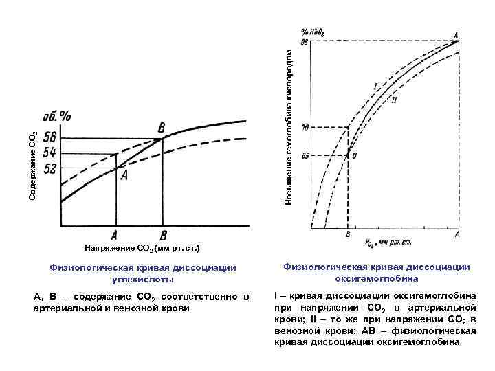 Насыщение гемоглобина кислородом Содержание СО 2 Напряжение СО 2 (мм рт. ст. ) Физиологическая