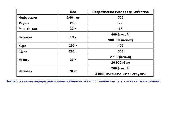 Вес Потребление кислорода мл/кг·час 0, 001 мг 500 Мидия 25 г 22 Речной рак