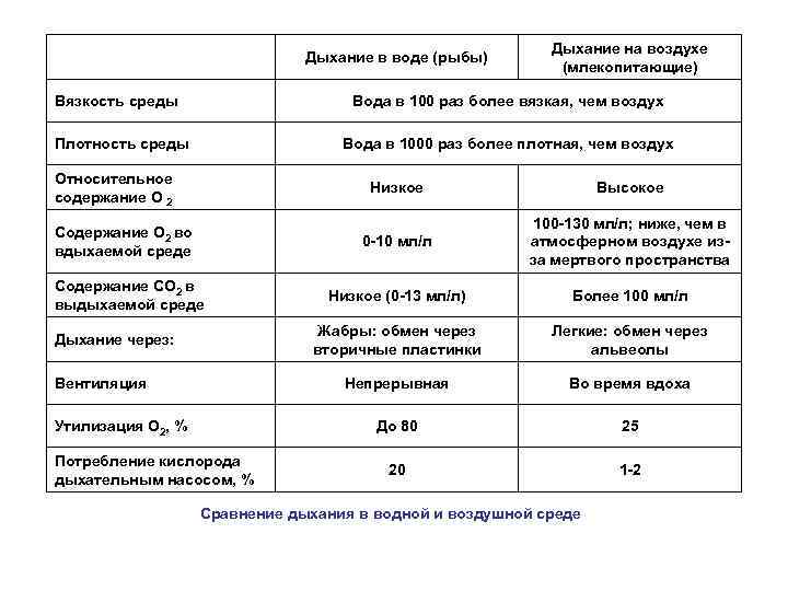 Дыхание в воде (рыбы) Вязкость среды Дыхание на воздухе (млекопитающие) Вода в 100 раз