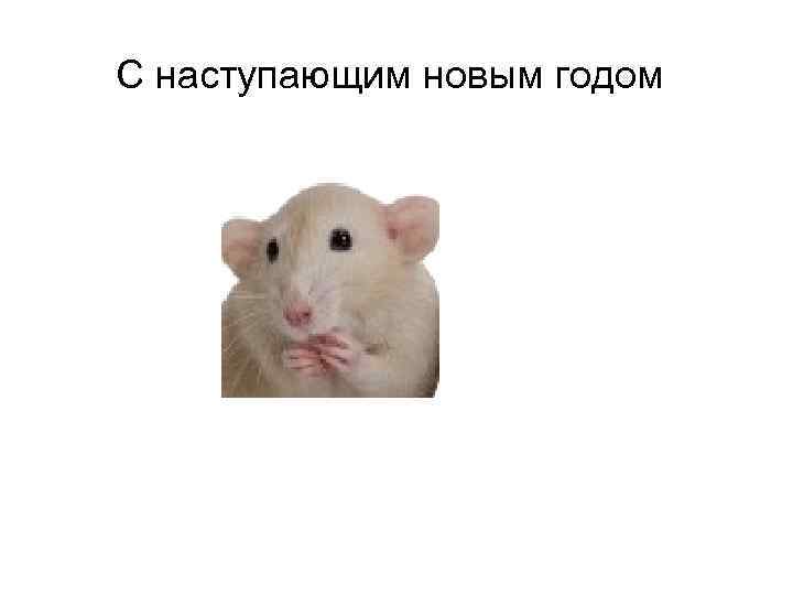 С наступающим новым годом 