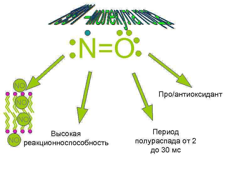 N=O NO Про/антиоксидант NO NO Высокая NO реакционноспособность Период полураспада от 2 до 30