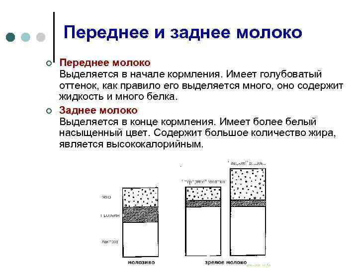 Переднее и заднее молоко ¢ ¢ Переднее молоко Выделяется в начале кормления. Имеет голубоватый