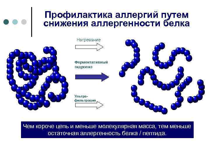 Профилактика аллергий путем снижения аллергенности белка Нагревание Ферментативный гидролиз Ультрафильтрация Чем короче цепь и
