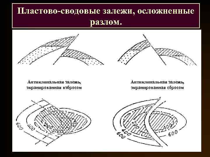 Пластово-сводовые залежи, осложненные разлом. Антиклинальная залежь, экранированная взбросом Антиклинальная залежь, экранированная сбросом 