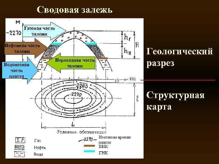 Сводовая залежь Газовая часть залежи Нефтяная часть залежи Водоносная часть пласта Геологический разрез Переходная