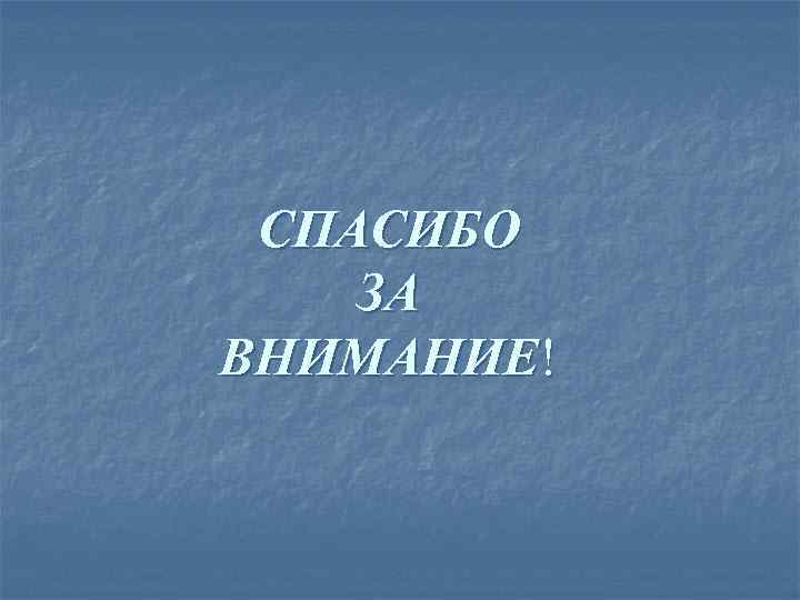 СПАСИБО ЗА ВНИМАНИЕ! 