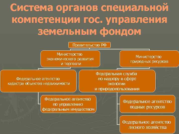 Система органов специальной компетенции гос. управления земельным фондом Правительство РФ Министерство экономического развития и