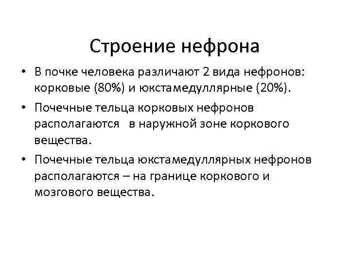 Строение нефрона • В почке человека различают 2 вида нефронов: корковые (80%) и юкстамедуллярные