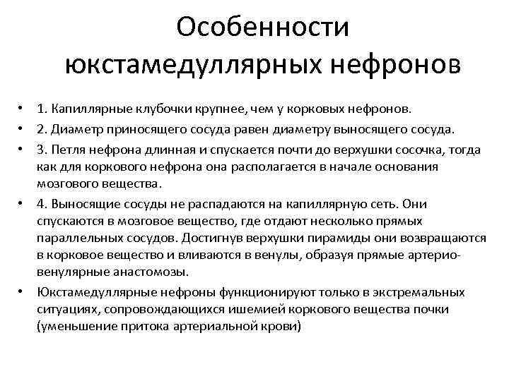 Особенности юкстамедуллярных нефронов • 1. Капиллярные клубочки крупнее, чем у корковых нефронов. • 2.