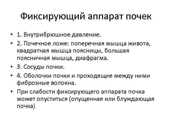 Фиксирующий аппарат почек • 1. Внутрибрюшное давление. • 2. Почечное ложе: поперечная мышца живота,