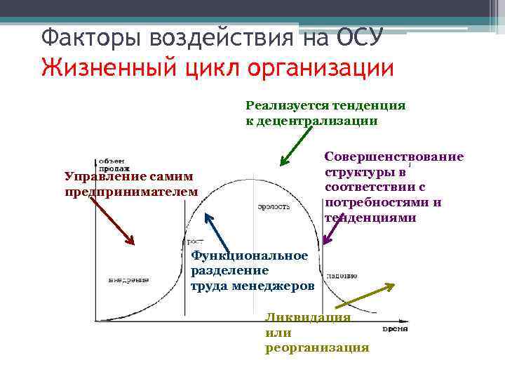 Факторы воздействия на ОСУ Жизненный цикл организации Реализуется тенденция к децентрализации Совершенствование структуры в