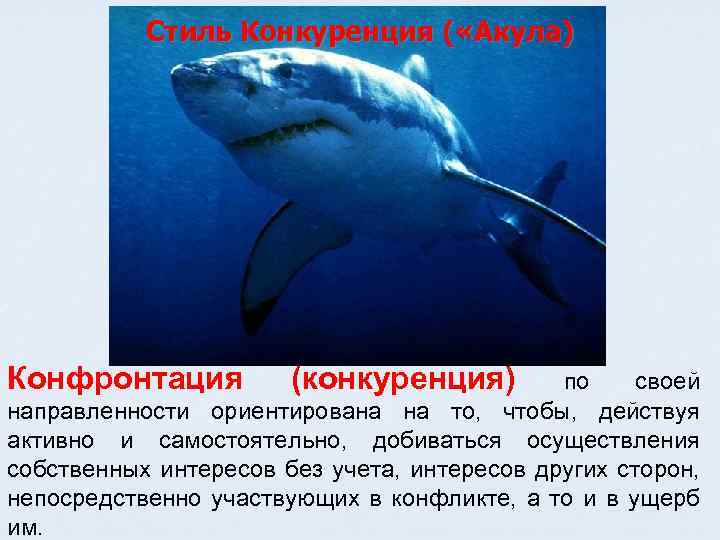 Стиль Конкуренция ( «Акула) Конфронтация (конкуренция) по своей направленности ориентирована на то, чтобы, действуя