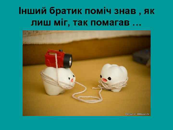 Інший братик поміч знав , як лиш міг, так помагав … 