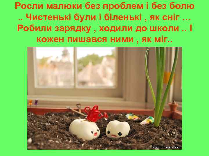 Росли малюки без проблем і без болю. . Чистенькі були і біленькі , як