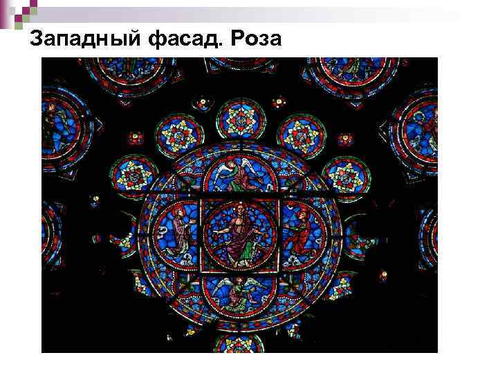 Западный фасад. Роза 
