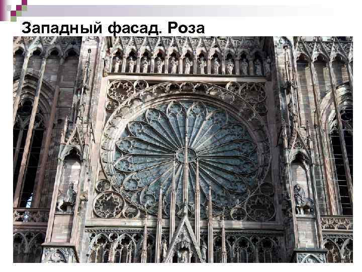 Западный фасад. Роза 