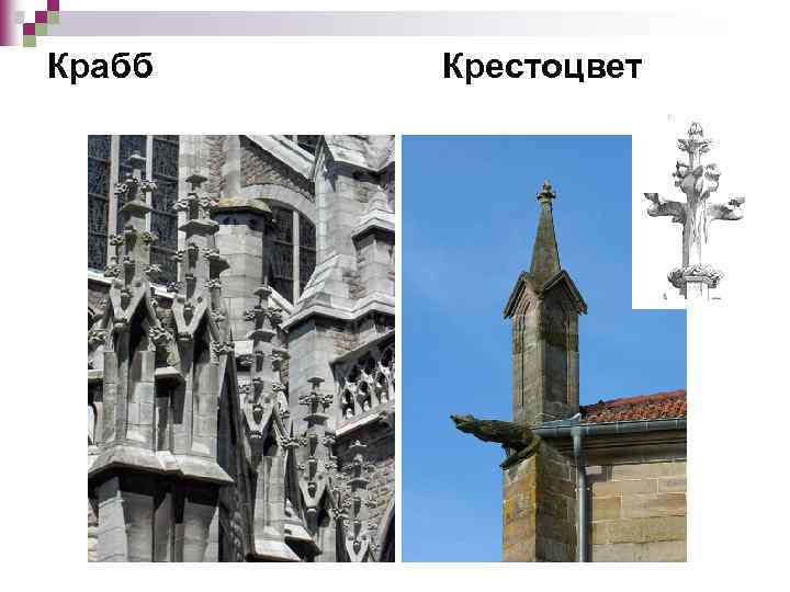 Крабб. Вимперг, пинакль, крестоцвет, краббы. Крестоцвет Готика. Крабб в готике. Крабб в архитектуре Готика.