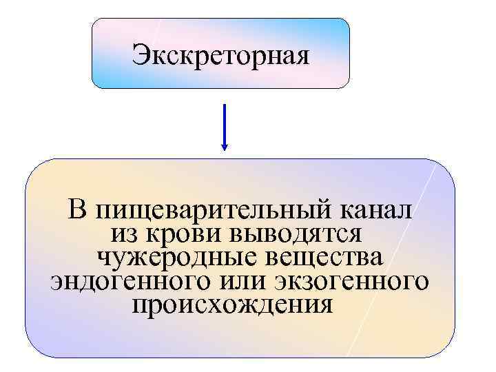 Экскреторная В пищеварительный канал из крови выводятся чужеродные вещества эндогенного или экзогенного происхождения 