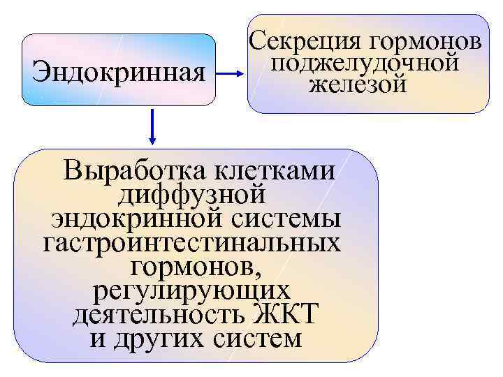 Эндокринная Секреция гормонов поджелудочной железой Выработка клетками диффузной эндокринной системы гастроинтестинальных гормонов, регулирующих деятельность