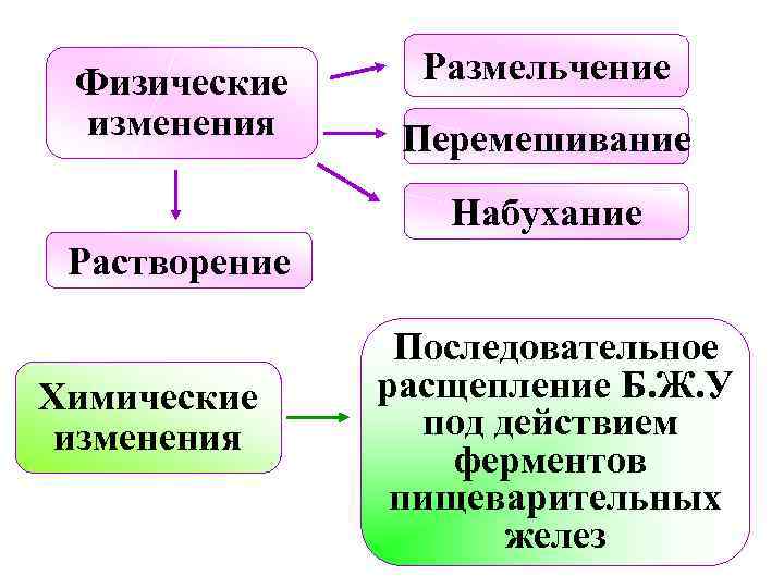 Нормализовать пищеварение и стул