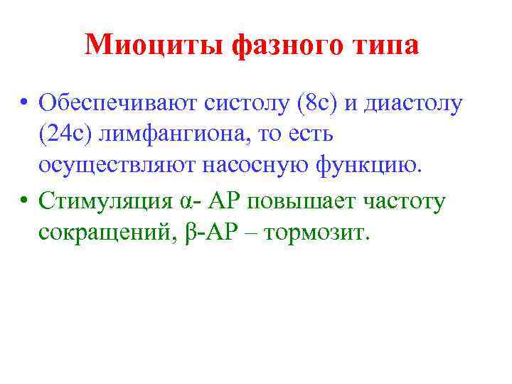 Миоциты фазного типа • Обеспечивают систолу (8 с) и диастолу (24 с) лимфангиона, то