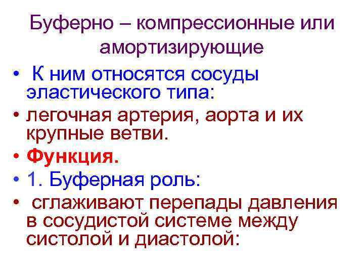  • • • Буферно – компрессионные или амортизирующие К ним относятся сосуды эластического