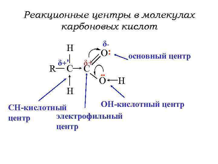 Реакционные центры в молекулах карбоновых кислот δ- H R δ+ ’ C H δ+