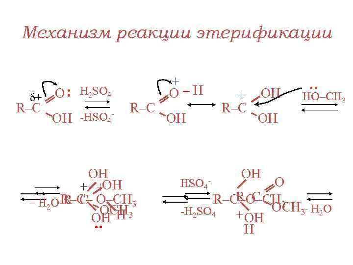 δ+ R–С О : H 2 SO 4 - ОН -HSO 4 R–С :