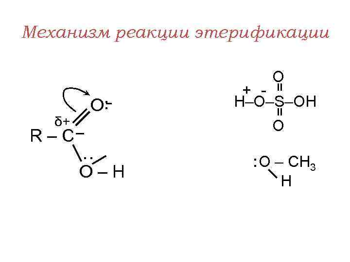 Механизм реакции этерификации O δ+ O: = = + H–O–S–OH O : R–C O–H