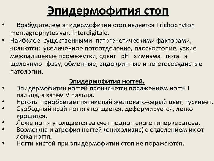 Эпидермофития стоп • • Возбудителем эпидермофитии стоп является Trichophyton mentagrophytes var. Interdigitale. Наиболее существенными