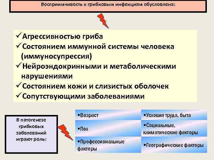 Восприимчивость к грибковым инфекциям обусловлена: üАгрессивностью гриба üСостоянием иммунной системы человека (иммуносупрессия) üНейроэндокринными и