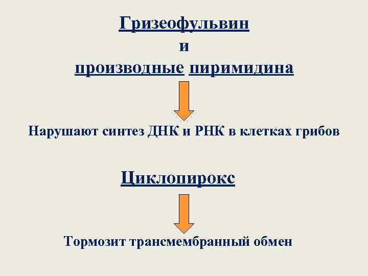 Гризеофульвин и производные пиримидина Нарушают синтез ДНК и РНК в клетках грибов Циклопирокс Тормозит