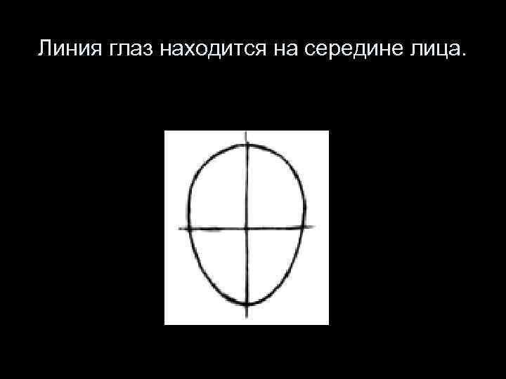 Линия глаз находится на середине лица. 