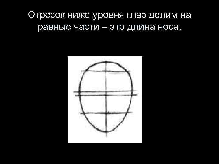 Отрезок ниже уровня глаз делим на равные части – это длина носа. 