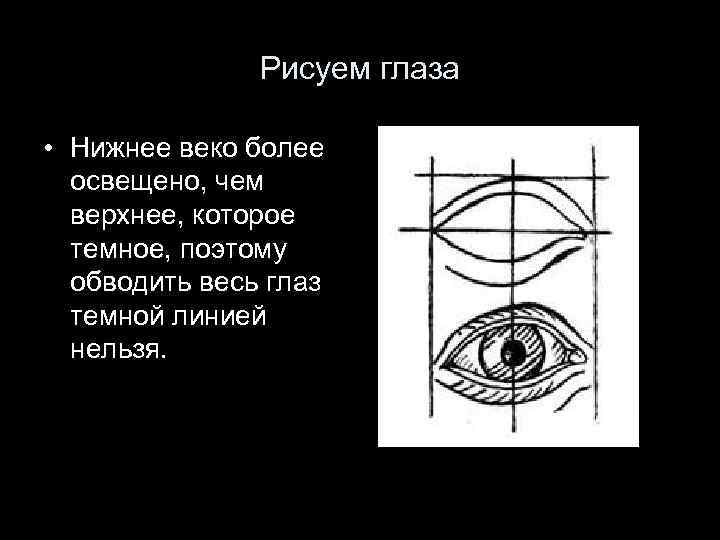Рисуем глаза • Нижнее веко более освещено, чем верхнее, которое темное, поэтому обводить весь