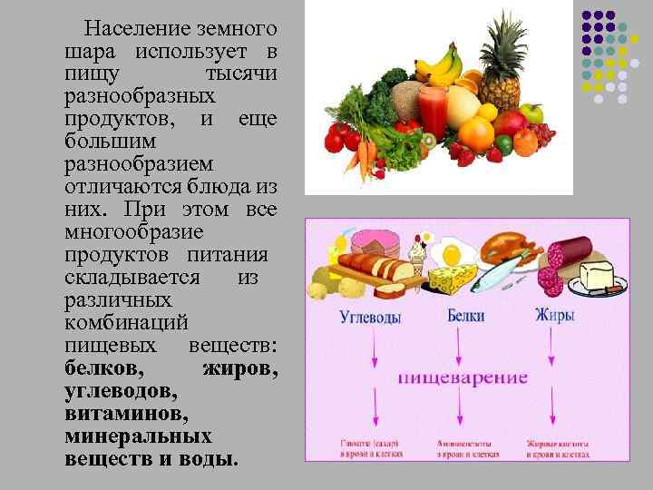  Население земного шара использует в пищу тысячи разнообразных продуктов, и еще большим разнообразием