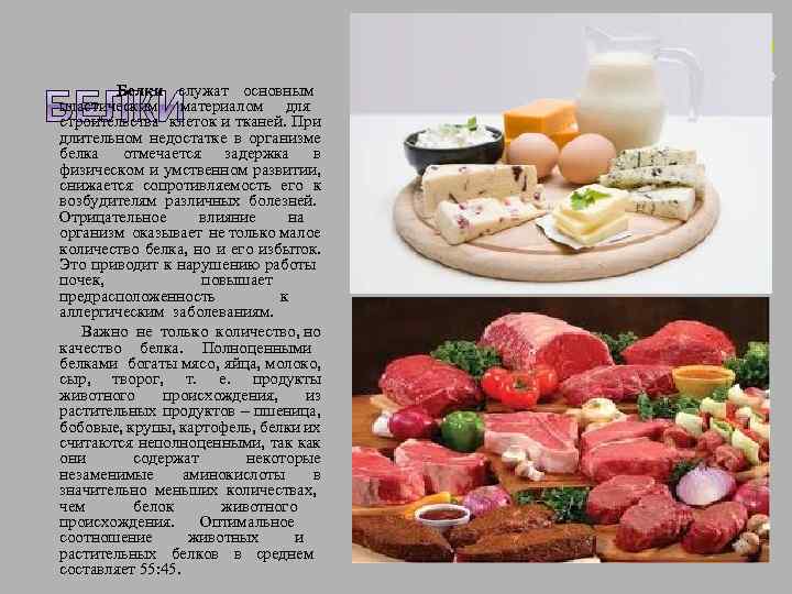 Белки служат основным пластическим материалом для строительства клеток и тканей. При длительном недостатке в