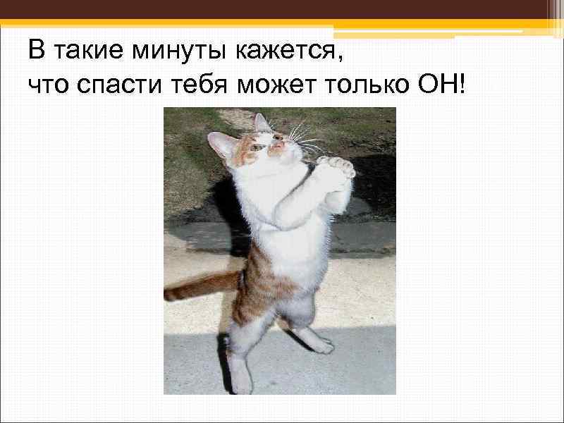 В такие минуты кажется, что спасти тебя может только ОН! 