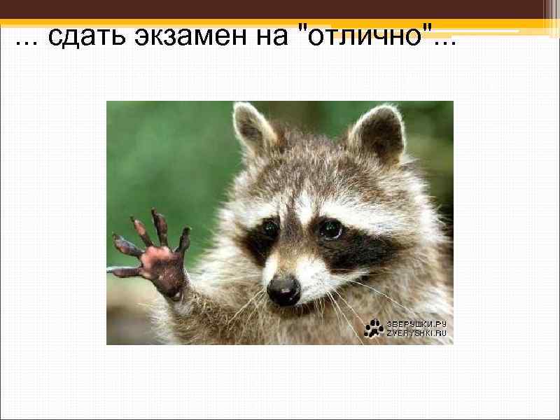 . . . сдать экзамен на "отлично". . . 