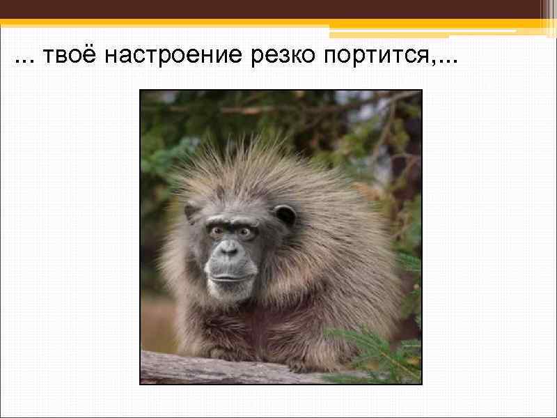 . . . твоё настроение резко портится, . . . 