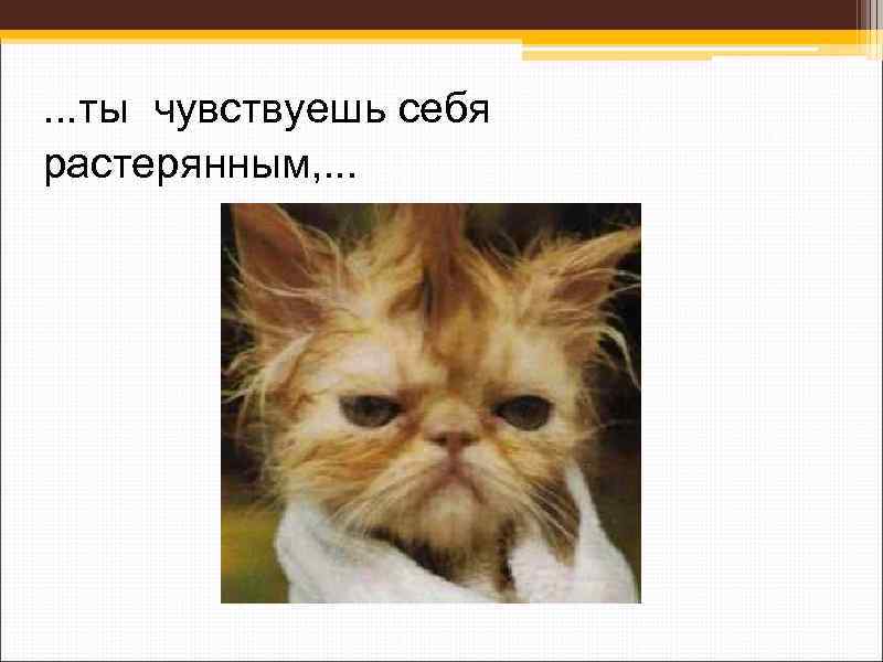  . . . ты чувствуешь себя растерянным, . . . 