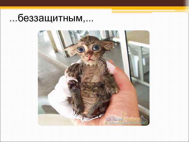 . . . беззащитным, . . . 
