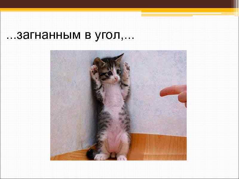 . . . загнанным в угол, . . . 