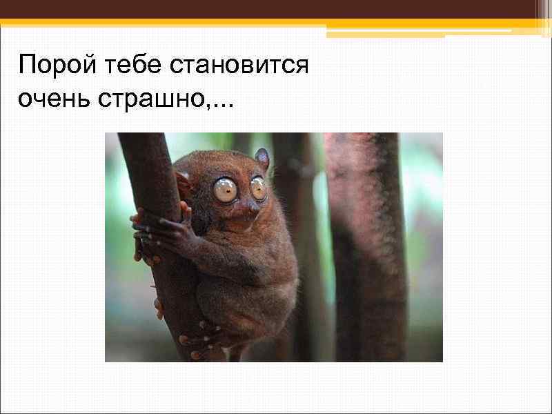 Порой тебе становится очень страшно, . . . 
