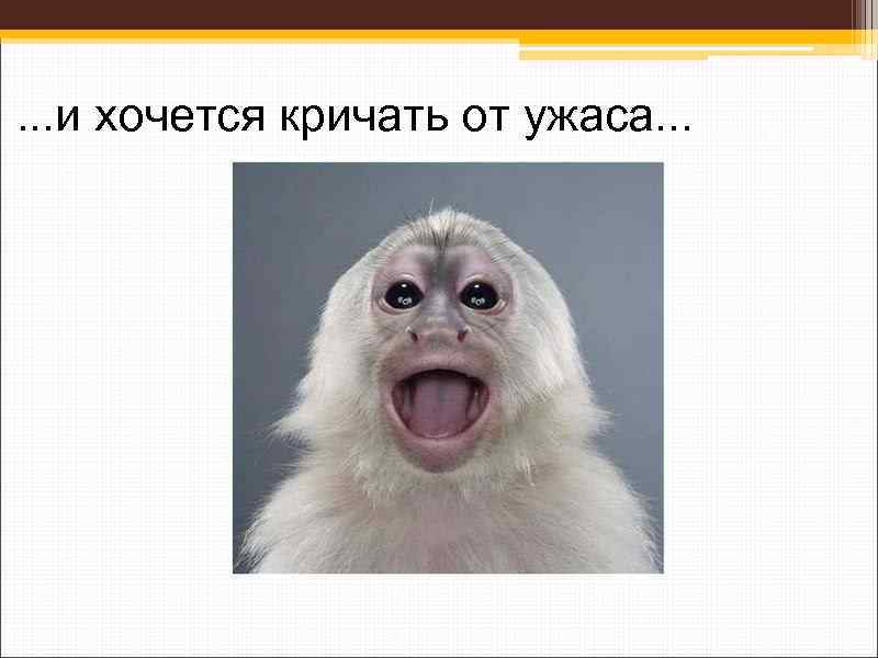 . . . и хочется кричать от ужаса. . . 